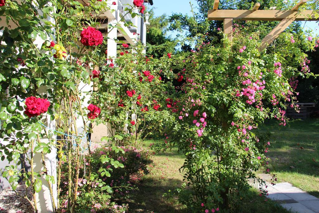 Beddingestrands Pensionat Rosengarden Skegrie Экстерьер фото